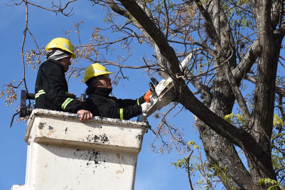 95426 | Operativos integrales: la Municipalidad realizó mejoras en los barrios durante todo el año - Dir. Gral. de Comunicación Social (Silvio Moriconi)