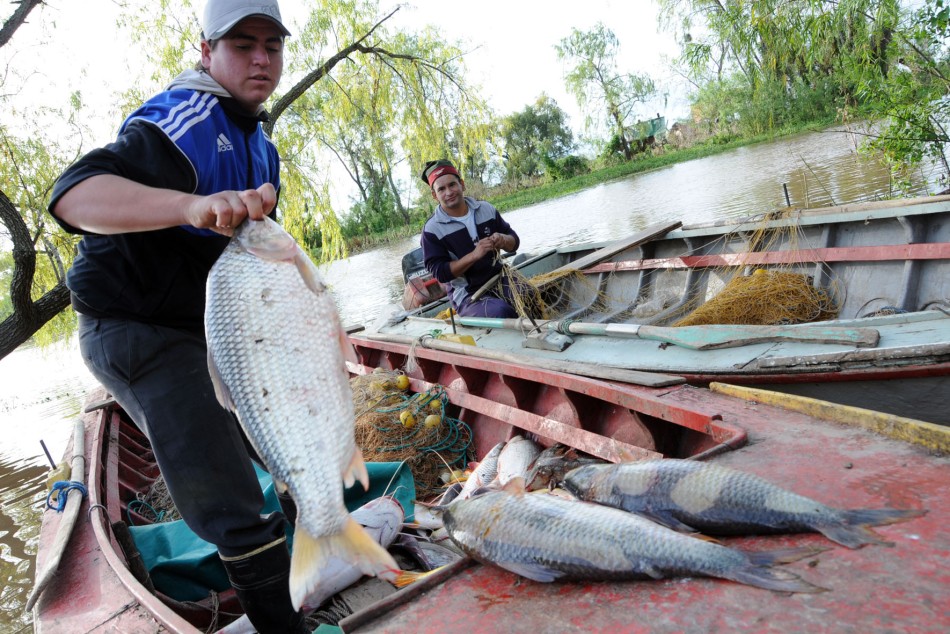 5775 | Foto de archivo (Silvio Moriconi) - Municipalidad de Rosario
