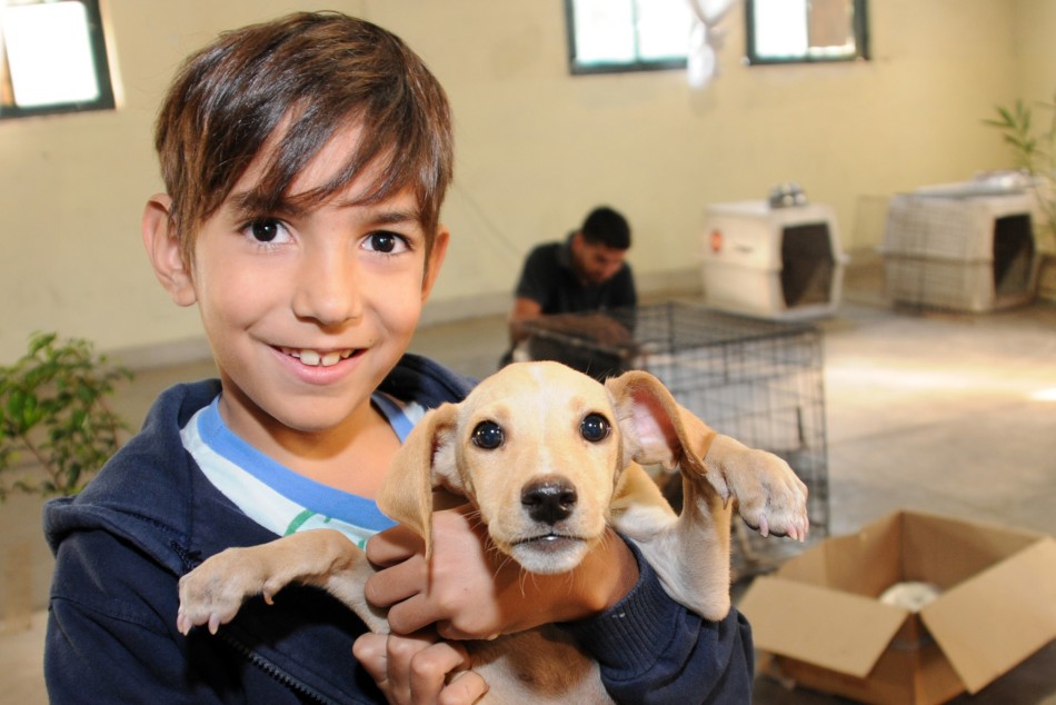 13345 | Personal del Imusa expone en escuelas sobre tenencia responsable de mascotas - Municipalidad de Rosario (Silvio Moriconi - archivo)