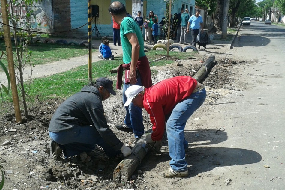41645 | Continúan los trabajos de mantenimiento y cuidado del medio ambiente en el Distrito Oeste - Centro Municipal Distrito Oeste