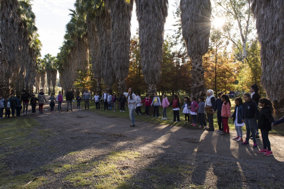 88027 | La Escuela va al Bosque, un dispositivo para que los chicos entren en contacto con la naturaleza - Juan Pablo Allegue