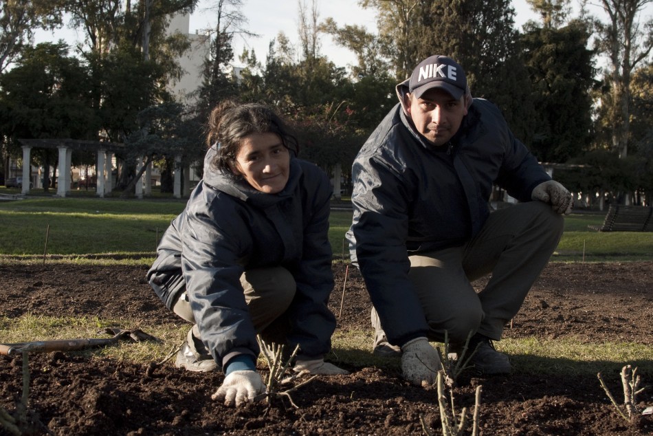 95551 | Comenzó la plantación de más de 7.000 rosales en el Rosedal - Micaela Pertuzzo