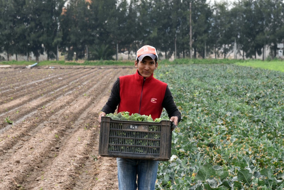 95996 | Comenzó el Mes de la Agroecología - Dir. Gral. de Comunicación Social (Silvio Moriconi)