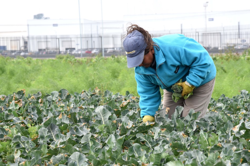 96002 | Comenzó el Mes de la Agroecología - Dir. Gral. de Comunicación Social (Silvio Moriconi)