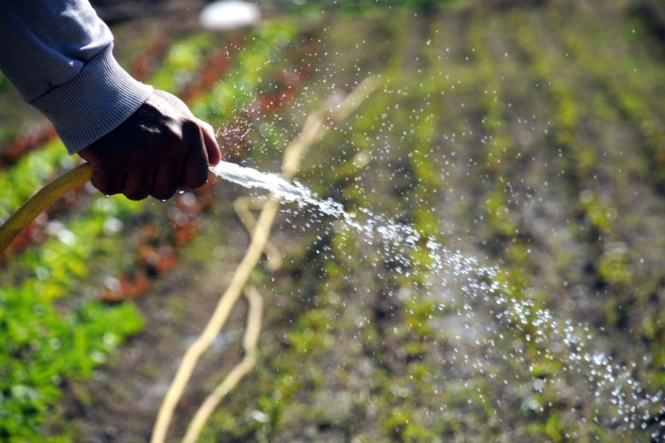97552 | Comenzó el Mes de la Agroecología - Dir. Gral. de Comunicación Social (Silvio Moriconi)