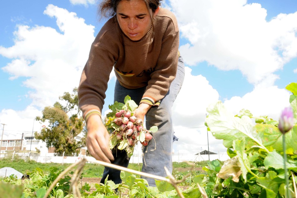 97553 | Comenzó el Mes de la Agroecología - Dir. Gral. de Comunicación Social (Silvio Moriconi)