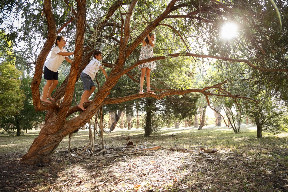 127873 | El Bosque de los Constituyentes, 220 hectáreas de naturaleza -