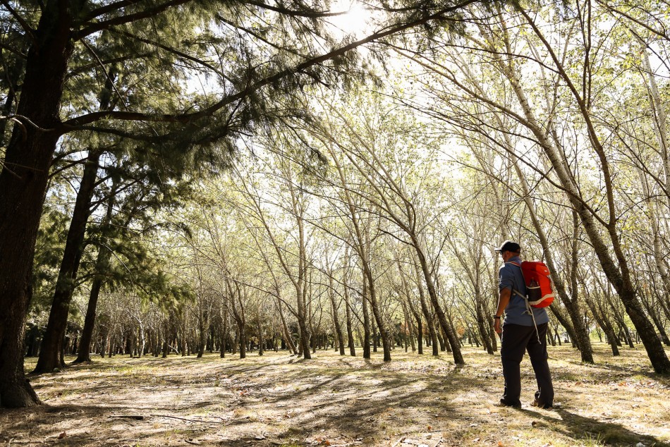 127874 | El Bosque de los Constituyentes, 220 hectáreas de naturaleza -