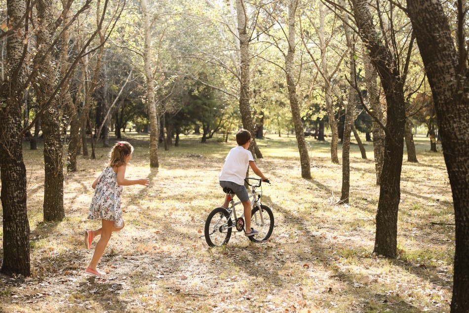 127872 | El Bosque de los Constituyentes, 220 hectáreas de naturaleza -