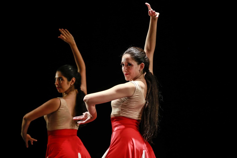 130038 | Se seleccionaron los grupos que participarán del Festival Tanta Danza - Sec.de Cultura y Educación (Guillermo Turin Bootello)