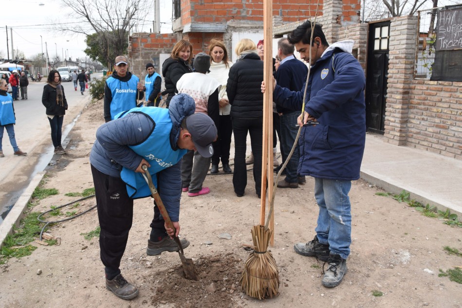 149629 | Plantación de árboles con vecinos Bº Moreno - Subsecretaría de Comunicación Social (Silvio Moriconi)