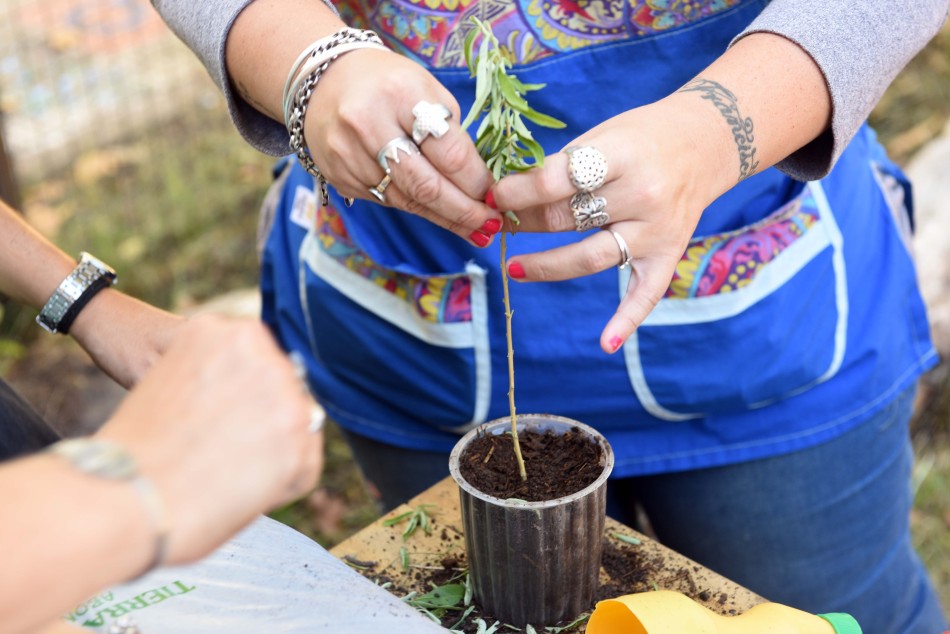 194677 | Archivo - Subsecretaría de Comunicación Social (Silvio Moriconi)