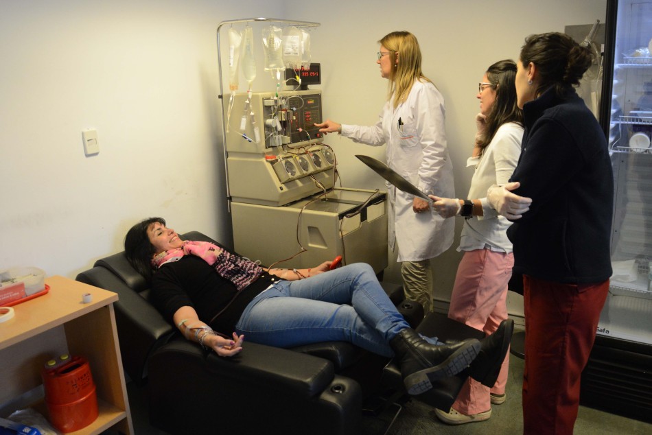 215886 | Donación de Sangre (Aféresis ) - Sec. de Salud Pública (Guillermo Fernández)