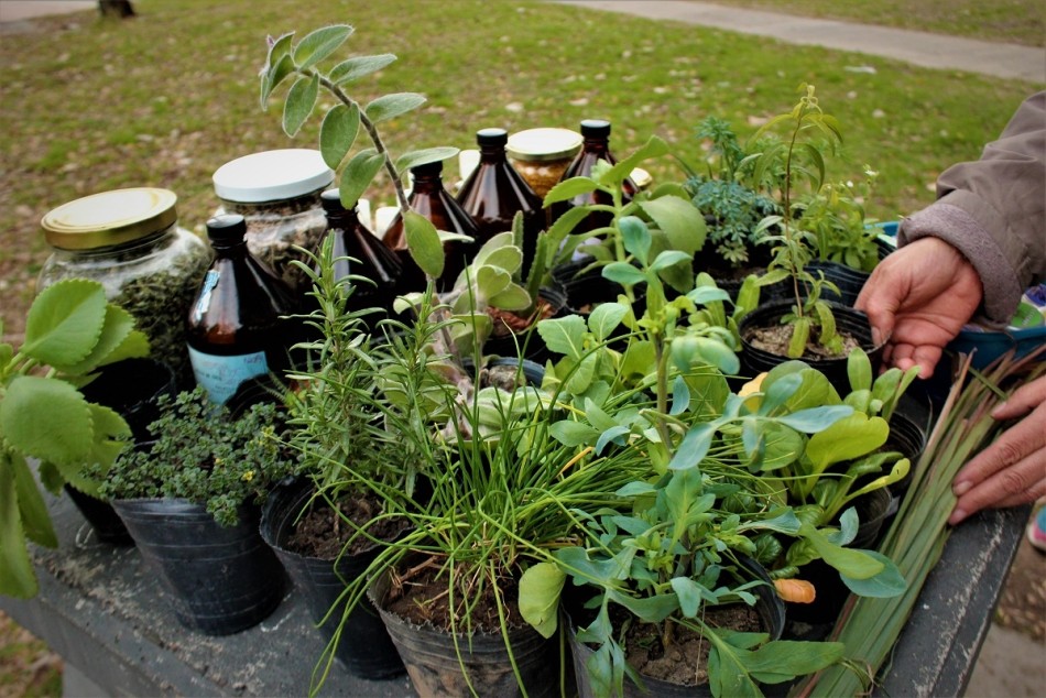 264672 | María del Carmen Albarenque, Huerta Comunitaria Estación Rosario Oeste - Mariana Terrile (Sec. Modernización y Cercanía)