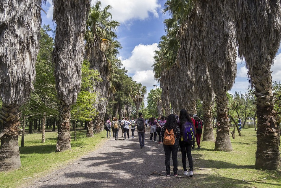 364075 | Bosque de los Constituyentes (archivo) - Juan Pablo Allegüe