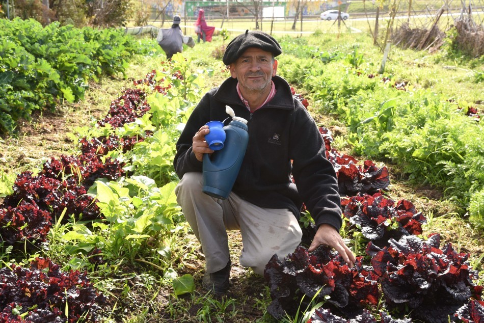 383560 | Rosario celebra una nueva Semana de la Agricultura Urbana - Archivo