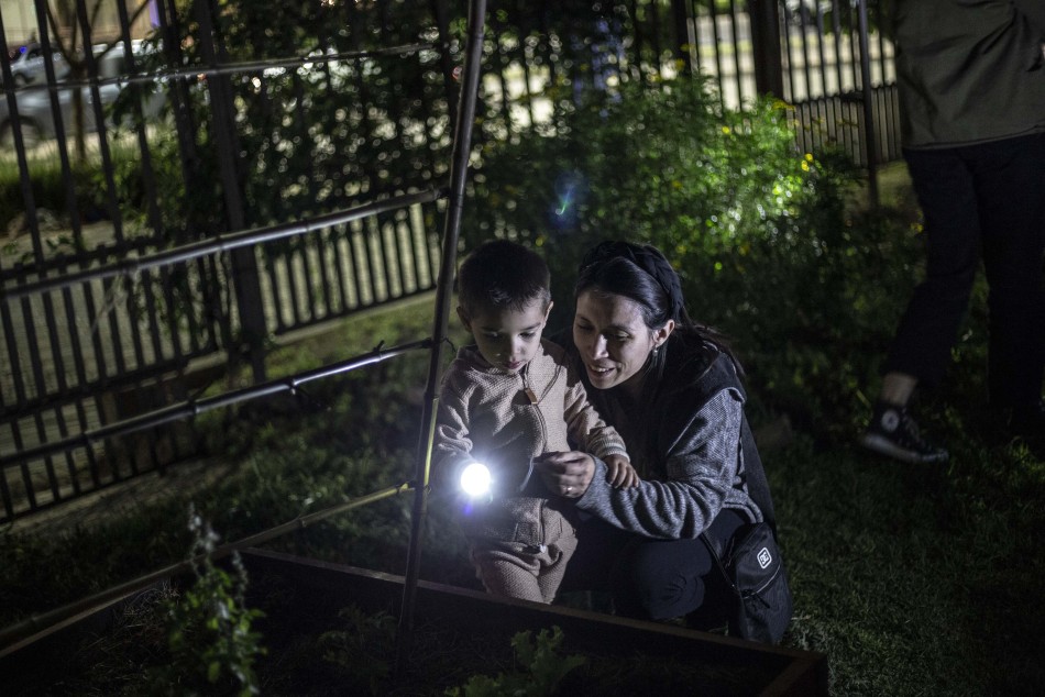 386261 | Nochecitas en Embarcaderos - Sec. de Cultura y Educación (Guillermo Turin Bootello)