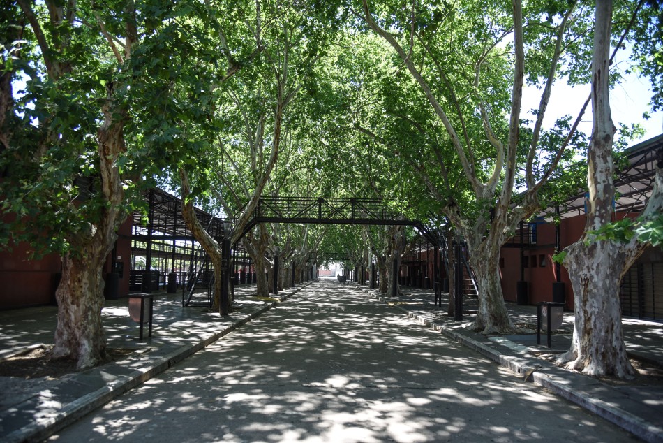 392427 | Testimonios potenciar trabajo Parque del Mercado - Subsecretaría de Comunicación Social (Jonatan Bustos)