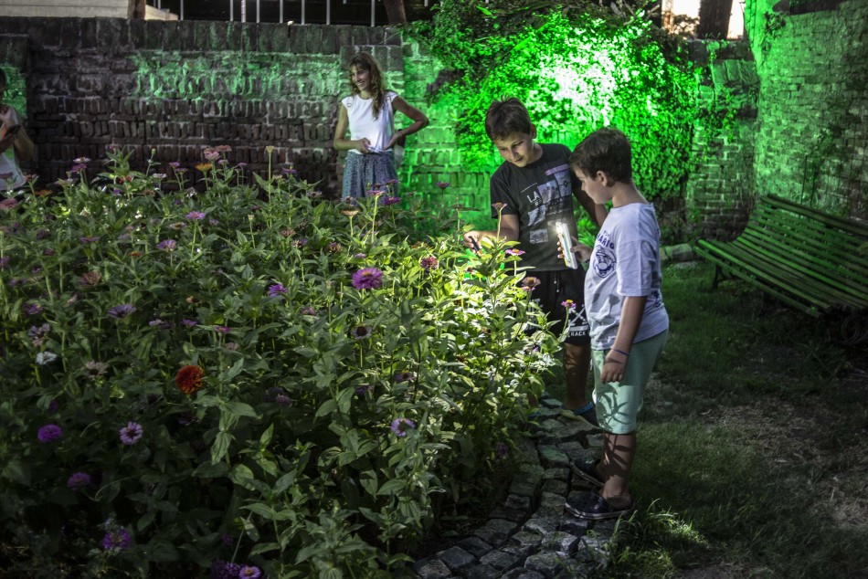 401745 | Nochecitas en Embarcaderos - Sec. de Cultura y Educación (Guillermo Turin Bootello)