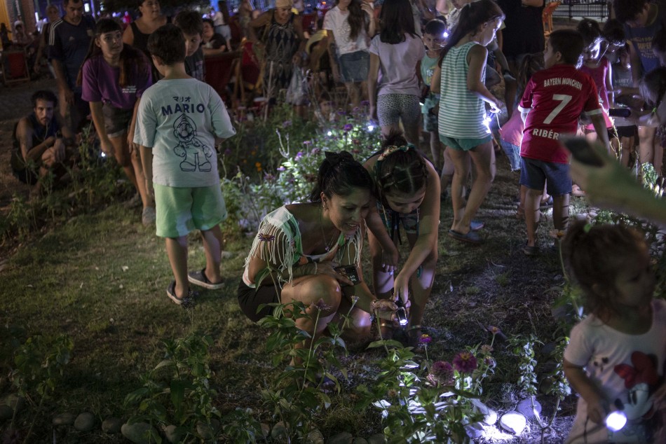 401748 | Nochecitas en Embarcaderos - Sec. de Cultura y Educación (Guillermo Turin Bootello)