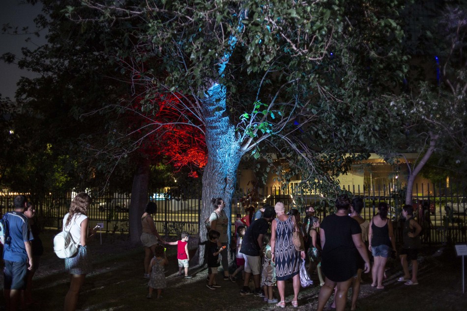 401747 | Nochecitas en Embarcaderos - Sec. de Cultura y Educación (Guillermo Turin Bootello)