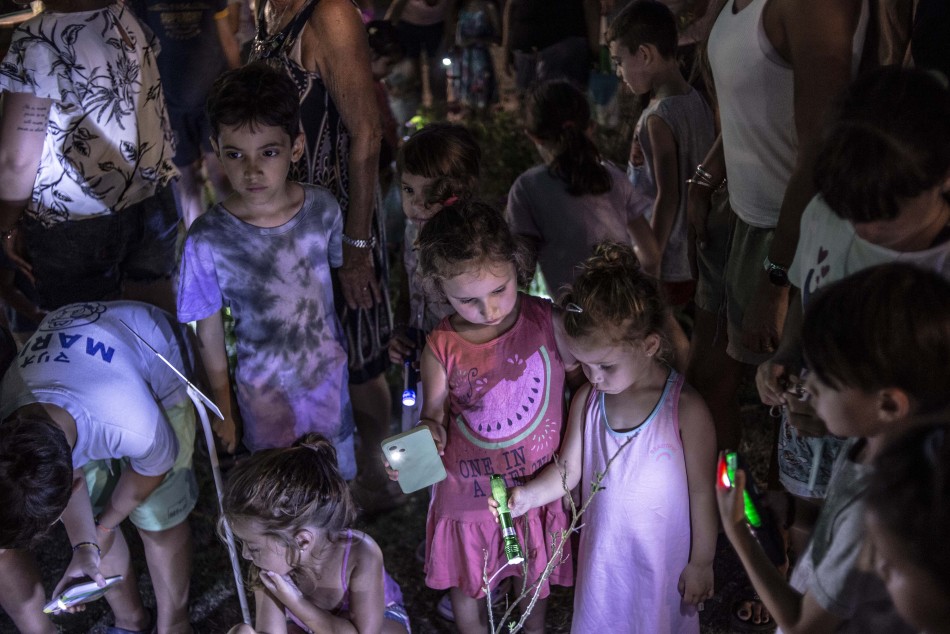 401749 | Nochecitas en Embarcaderos - Sec. de Cultura y Educación (Guillermo Turin Bootello)