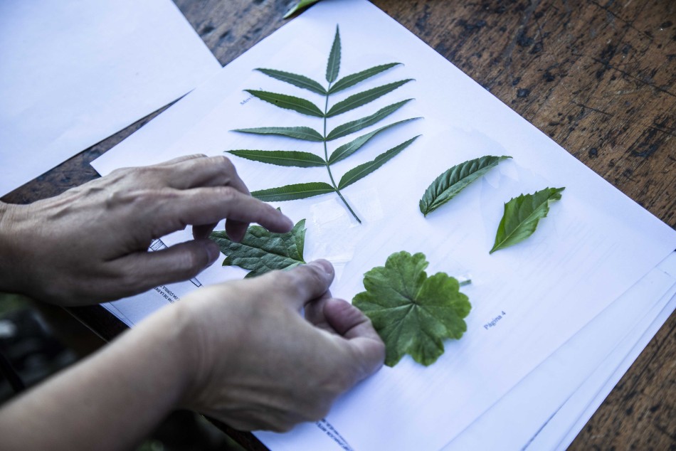 456265 |  - Sec. de Cultura y Educación (Guillermo Turin Bootello)