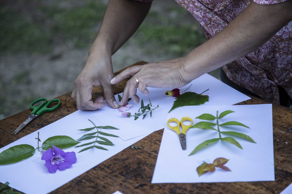456266 | Herbario Botánico en Embarcaderos - Sec. de Cultura y Educación (Guillermo Turin Bootello)