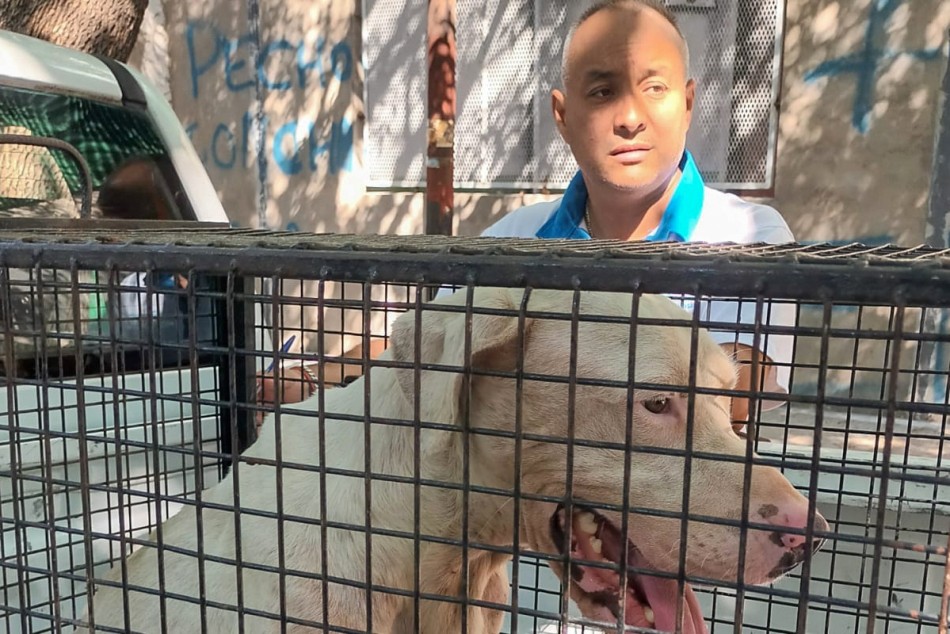 479947 | La Secretaría de Control sigue adelante con los rescates - Secretaría de Control