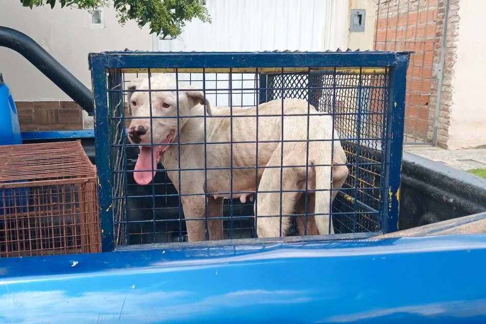 479951 | La Secretaría de Control sigue adelante con los rescates - Secretaría de Control