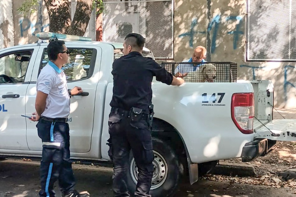 479952 | En el caso intervino la Dirección de Proximidad municipal - Secretaría de Control