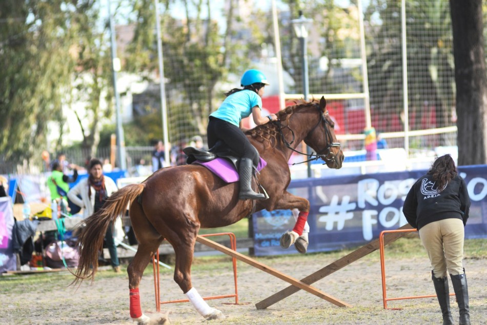 490795 |  - Guillermo Buelga (Secretaría de Deporte y Turismo)