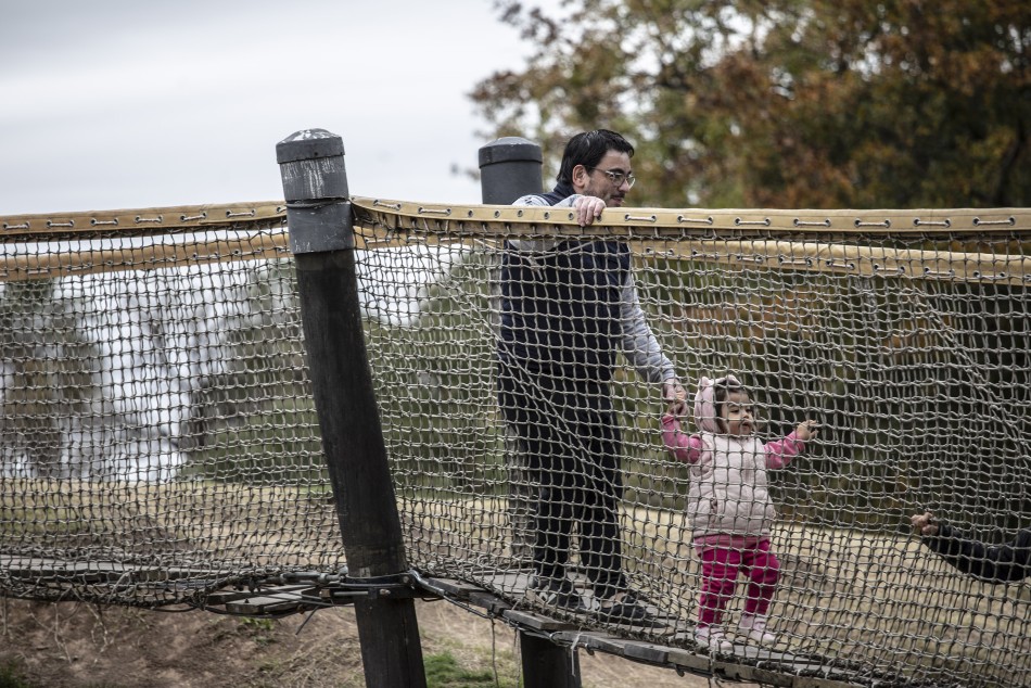 495882 | Cumpleaños Granja de la Infancia - Sec. de Cultura y Educación (Guillermo Turin Bootello)