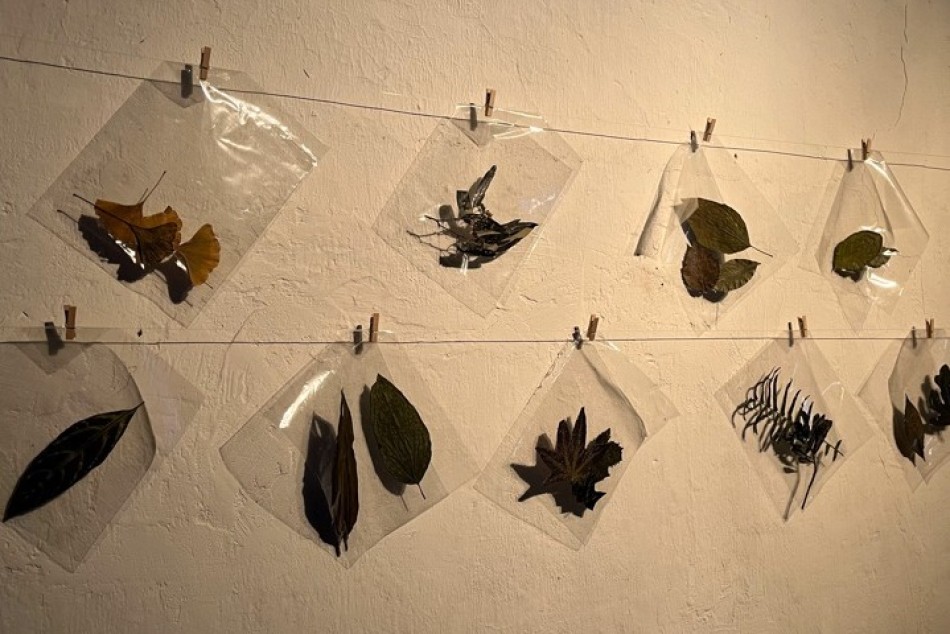 496097 | Instalación Amontar - Secretaría de Cultura y Educación