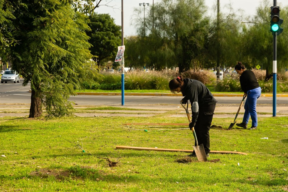 500522 | Se convoca a voluntarias y voluntarios a una plantación de árboles - Secretaría de Ambiente y Espacio Público (Juan Pablo Allegue)