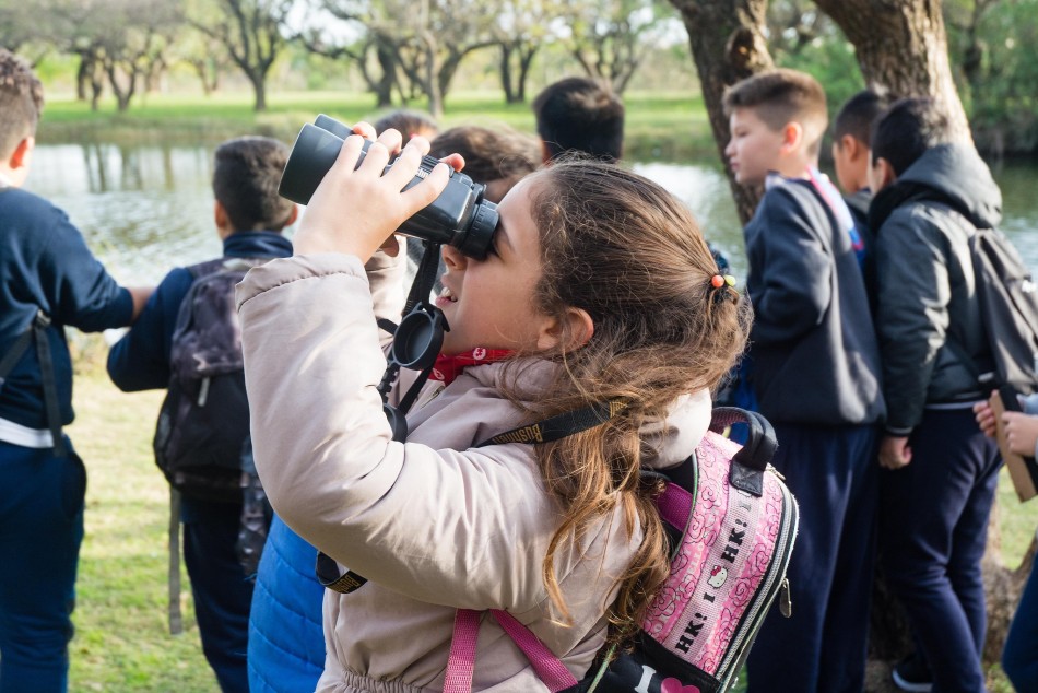 501568 |  - Secretaría de Ambiente y Espacio Público (archivo)