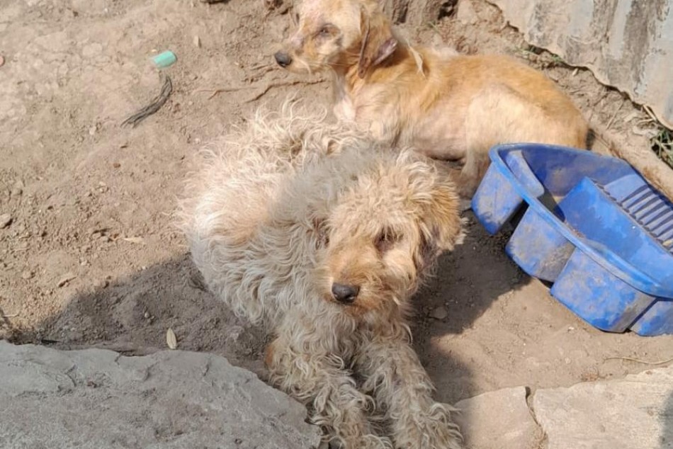 524665 |  - Secretaría de Control