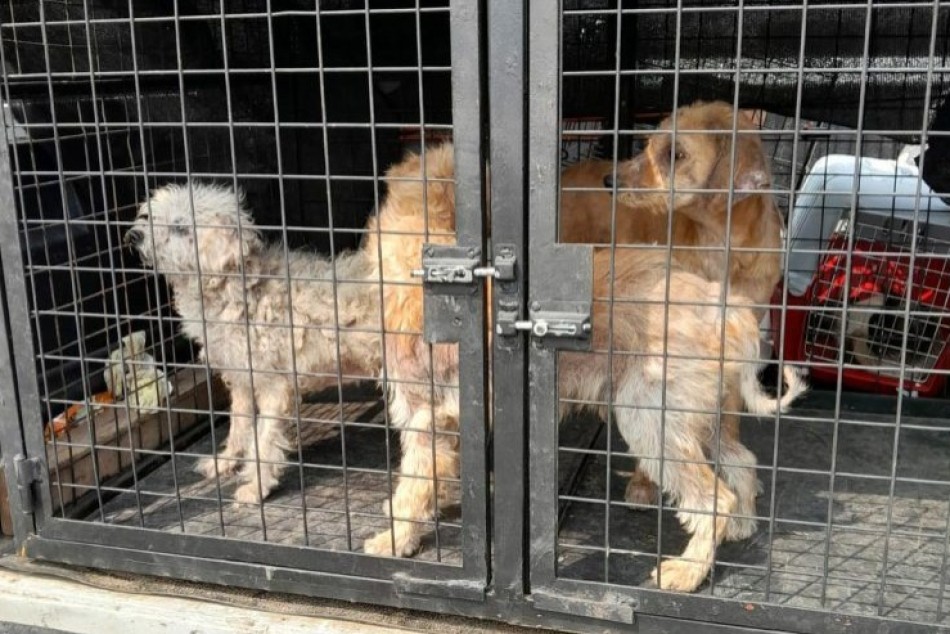 524666 |  - Secretaría de Control