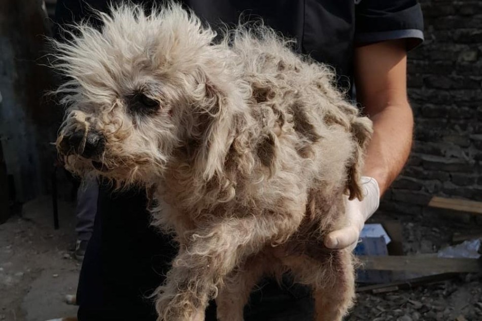 524668 |  - Secretaría de Control