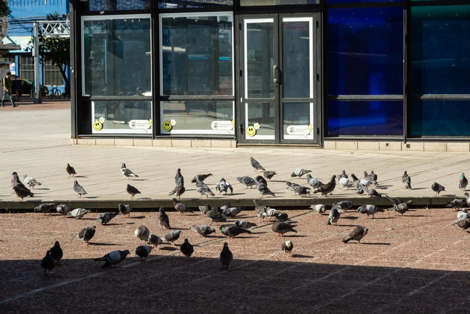 527871 |  - Municipalidad de Rosario