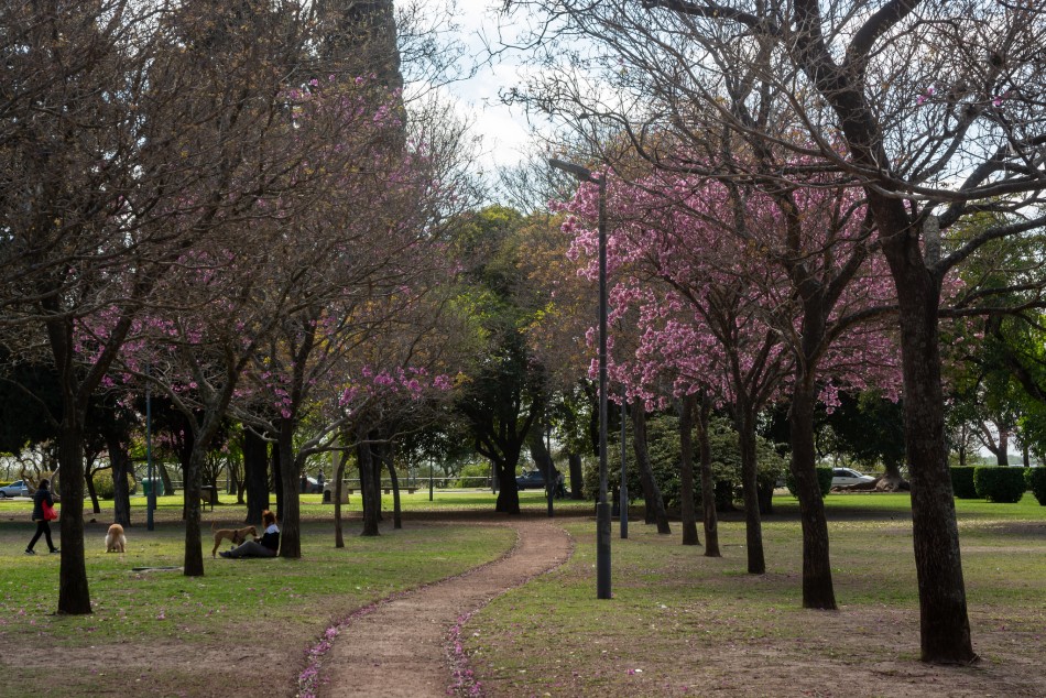 530646 | Parque Urquiza - Municipalidad de Rosario