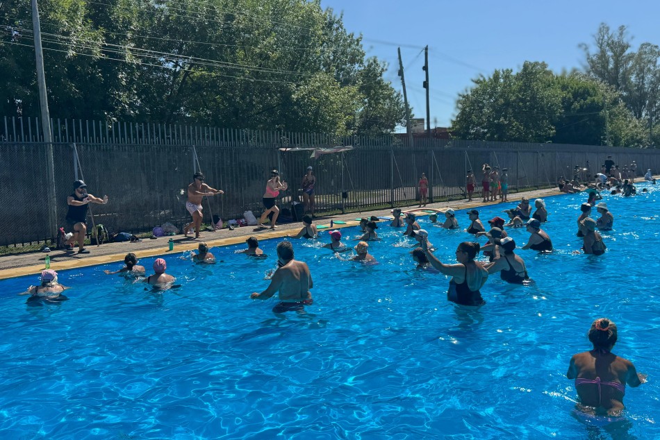 550886 |  - Secretaría de Desarrollo Humano y Hábitat