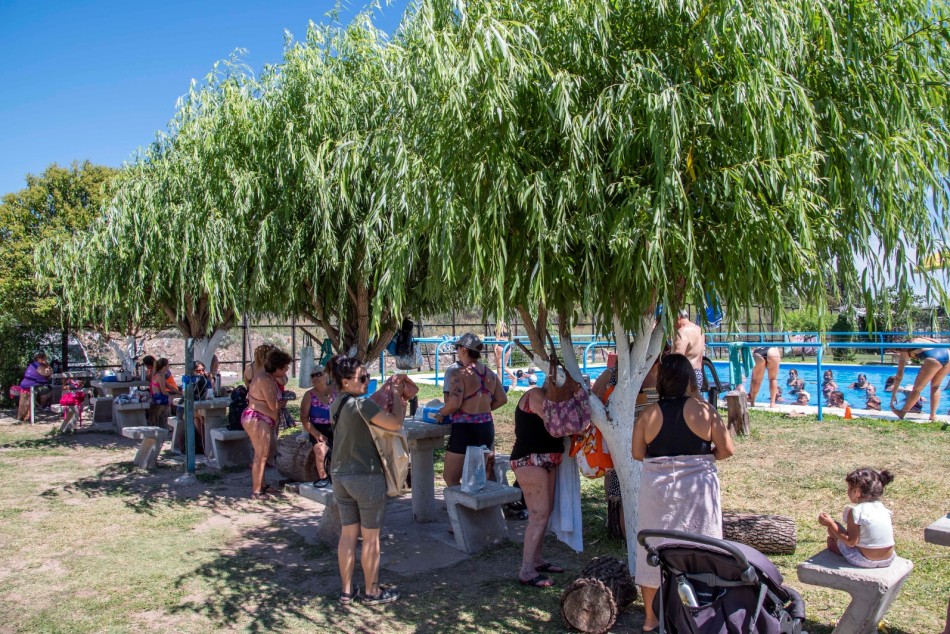 550890 |  - Secretaría de Desarrollo Humano y Hábitat