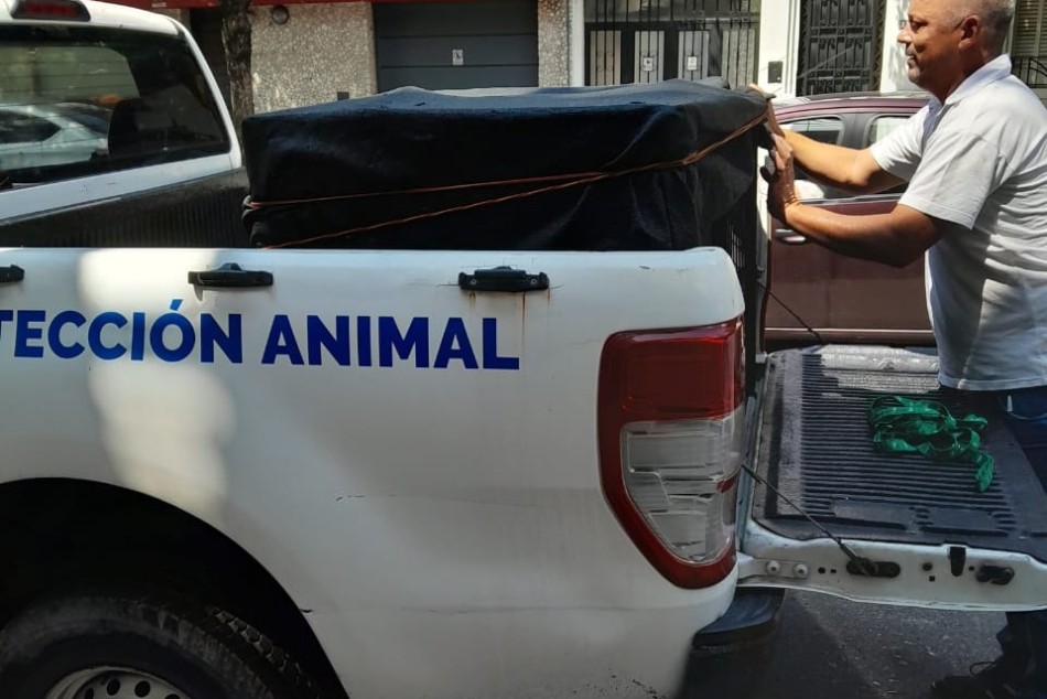 556320 |  - Secretaría de Control