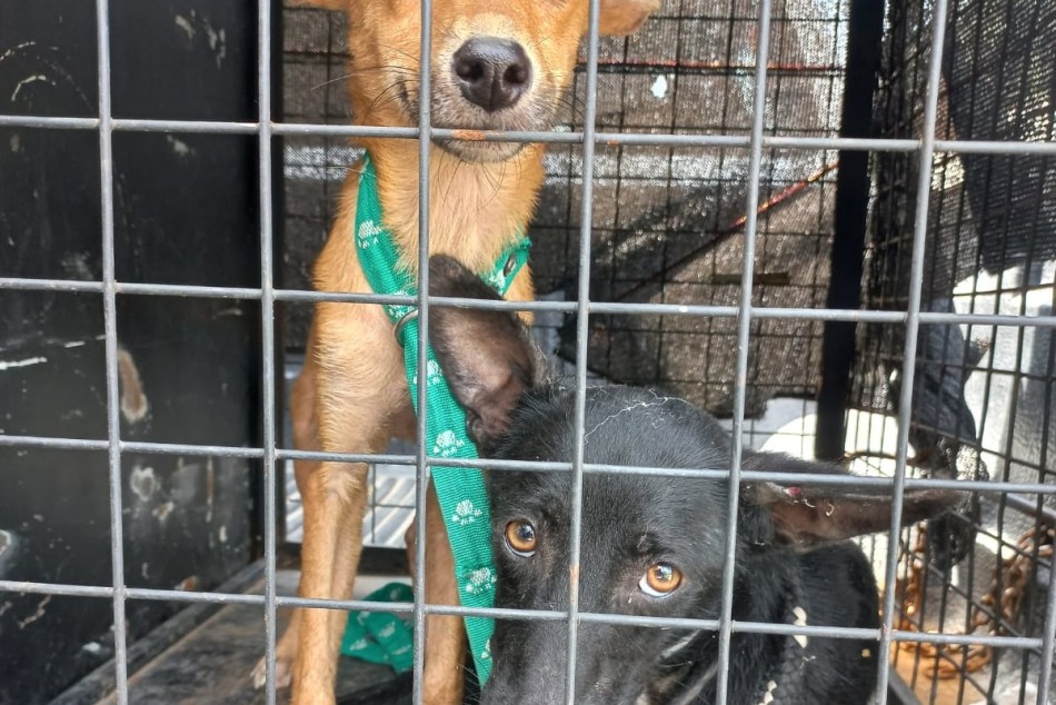 561337 |  - Secretaría de Control