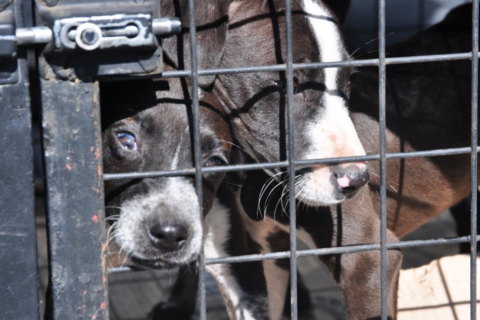 570123 |  - Secretaría de Control