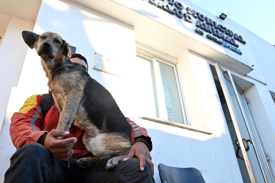 584478 | Presentación Hospital Animal - Subsecretaría de Comunicación Social (Silvio Moriconi)