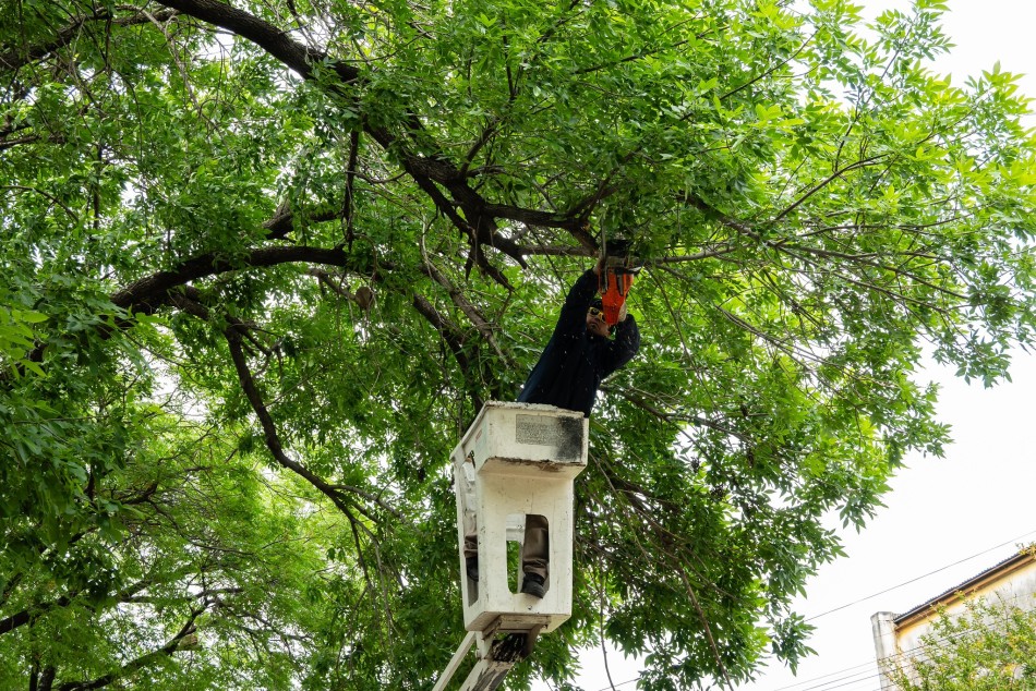 624417 |  - Municipalidad de Rosario