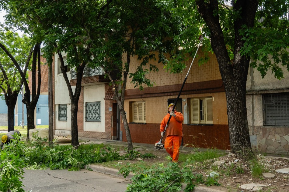 624414 |  - Municipalidad de Rosario