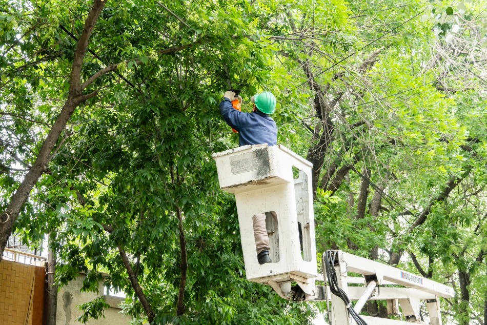 624419 |  - Municipalidad de Rosario